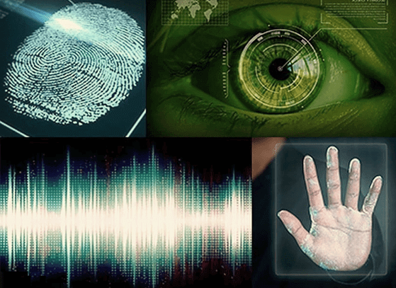 Machine Learning в биометрическом распознавании, биометрия Big Data