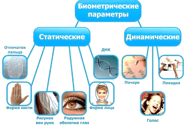 Биометрические методы
