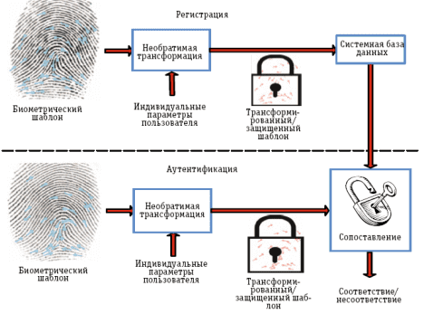cybersecurity, защита биометрии