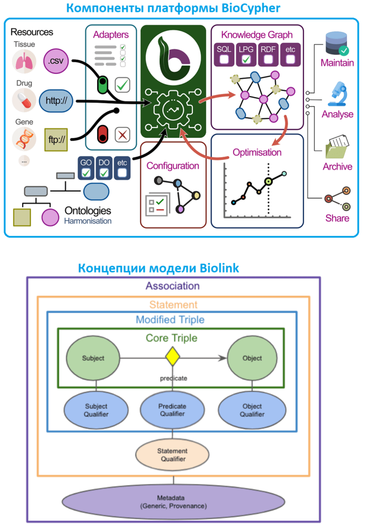 BioCypher и Biolink