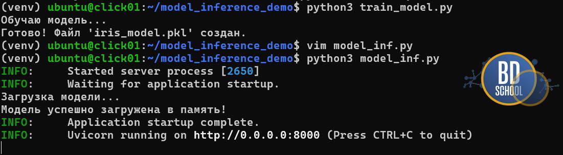 Model train and inference
