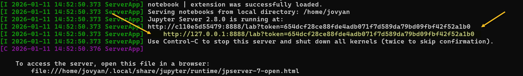 URL link and token for access web console Jupyter notebook for every running