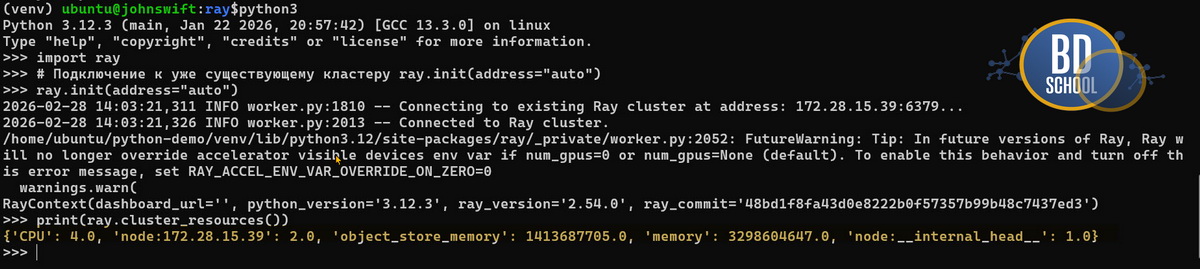 Распределение ресурсов вычислительного кластер Ray на ноутбуке
