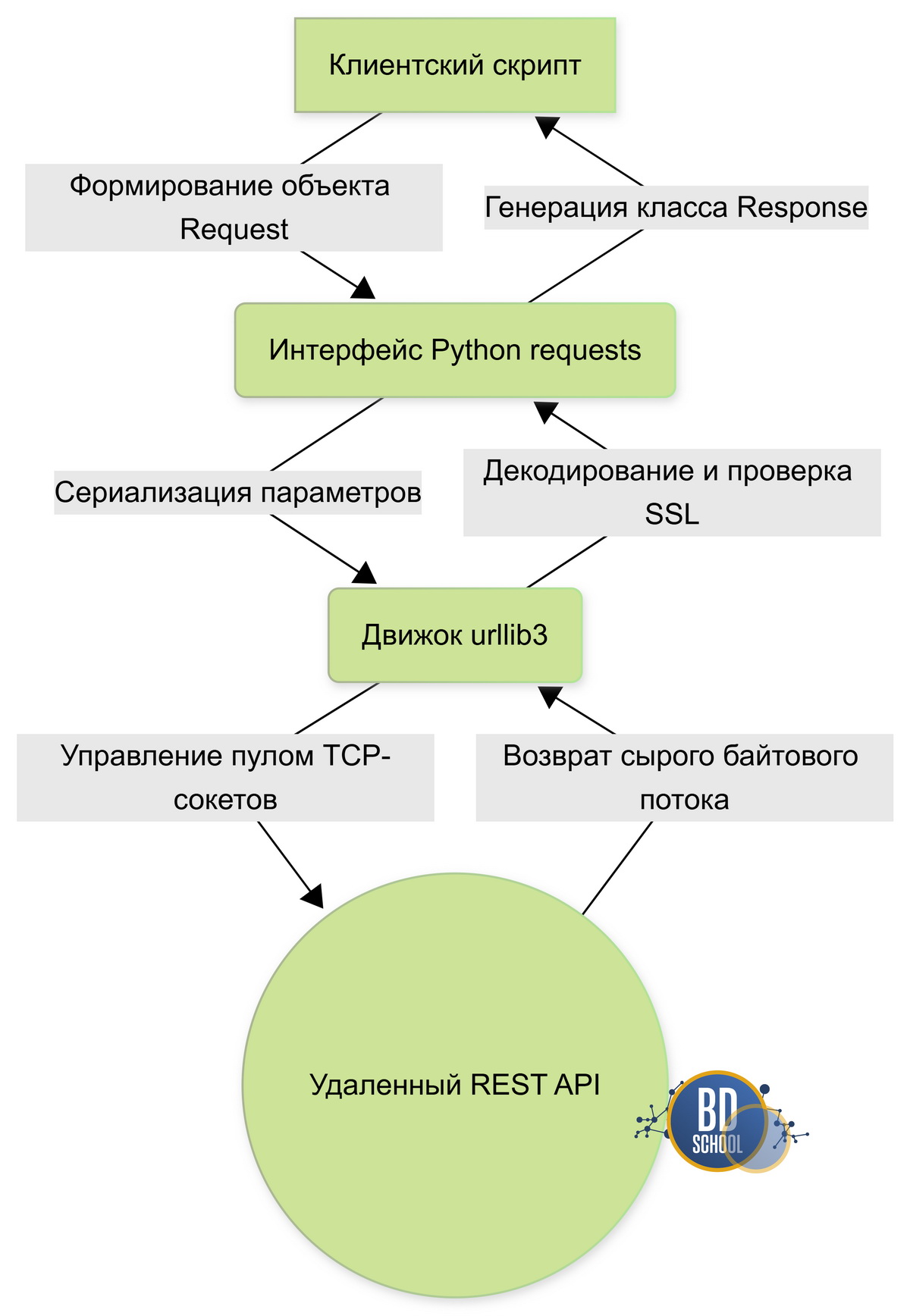 Детальная схема движения сетевого трафика от клиентского скрипта через библиотеку requests к серверу и обратно.