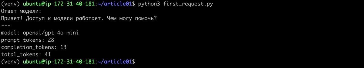 Результаты первого запроса модели через OpenRouter - практические курсы OpenRouter